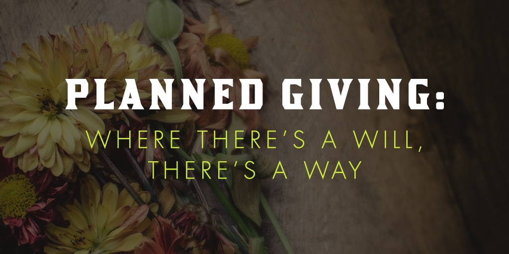 Donor Blog